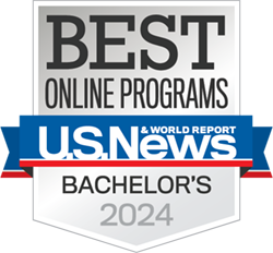 Best Online Programs Bachelor's